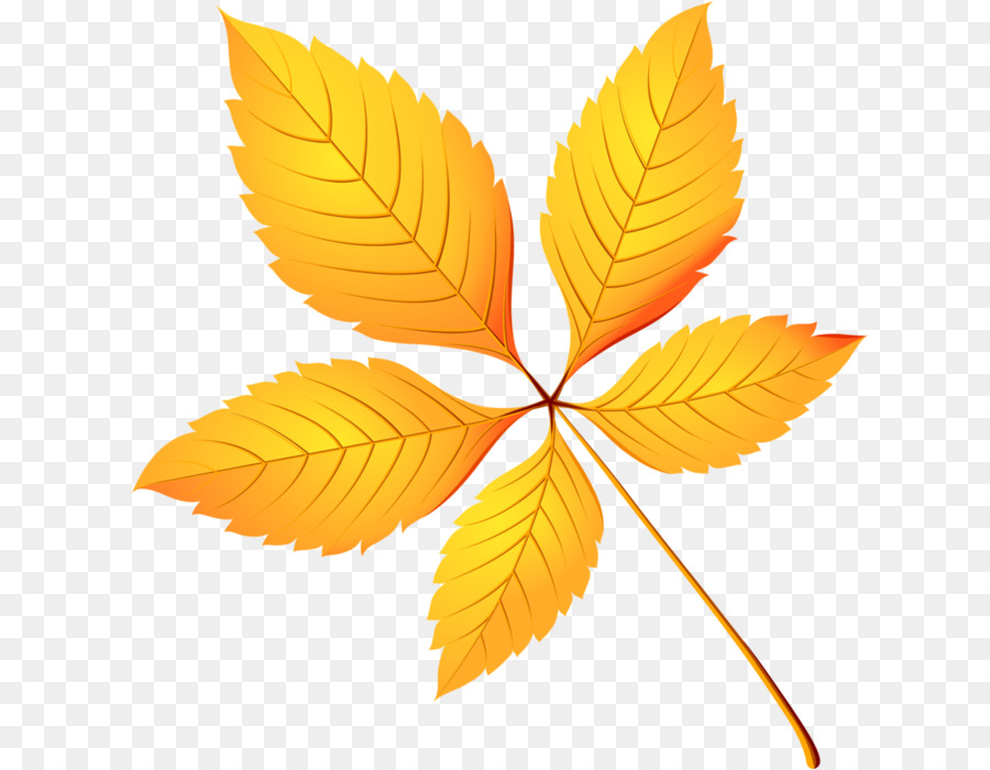 Feuille Jaune，Bifurquer PNG