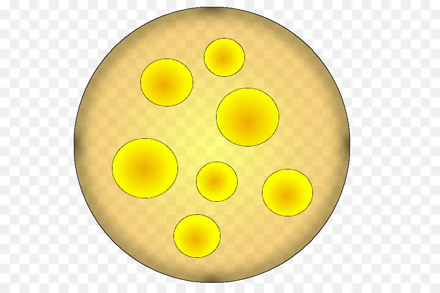 Cercles Jaunes，Cercles PNG