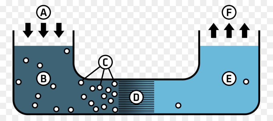 Diagramme D'osmose，Eau PNG