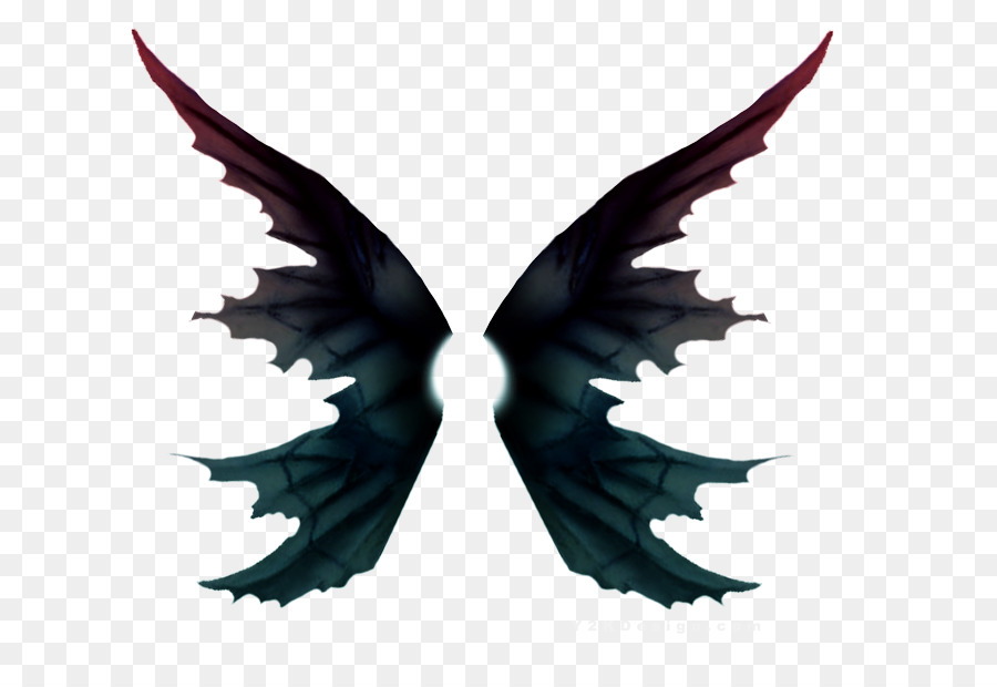 Papillon，Aile PNG