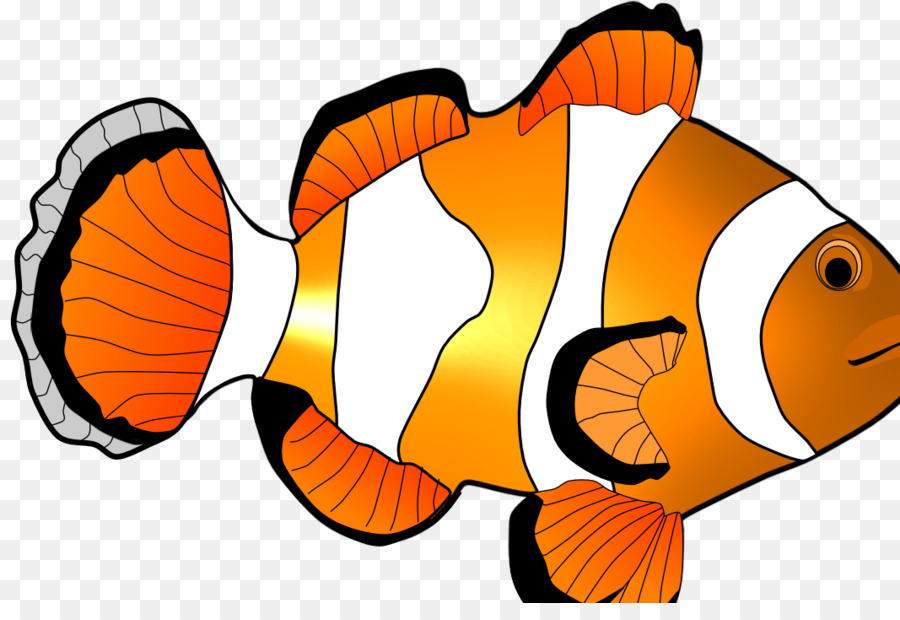 Poisson Clown，Aquarium PNG