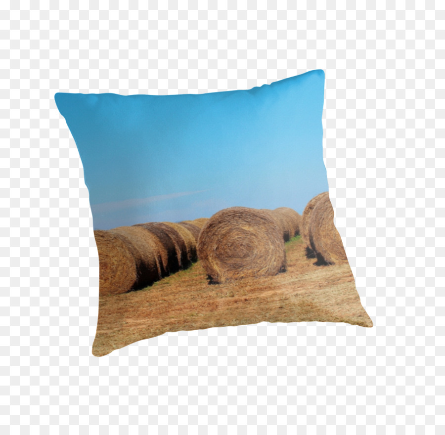 Lancer Des Oreillers，Coussin PNG