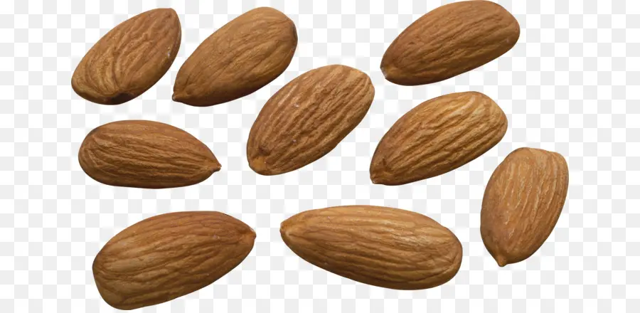 Amandes，Noix PNG