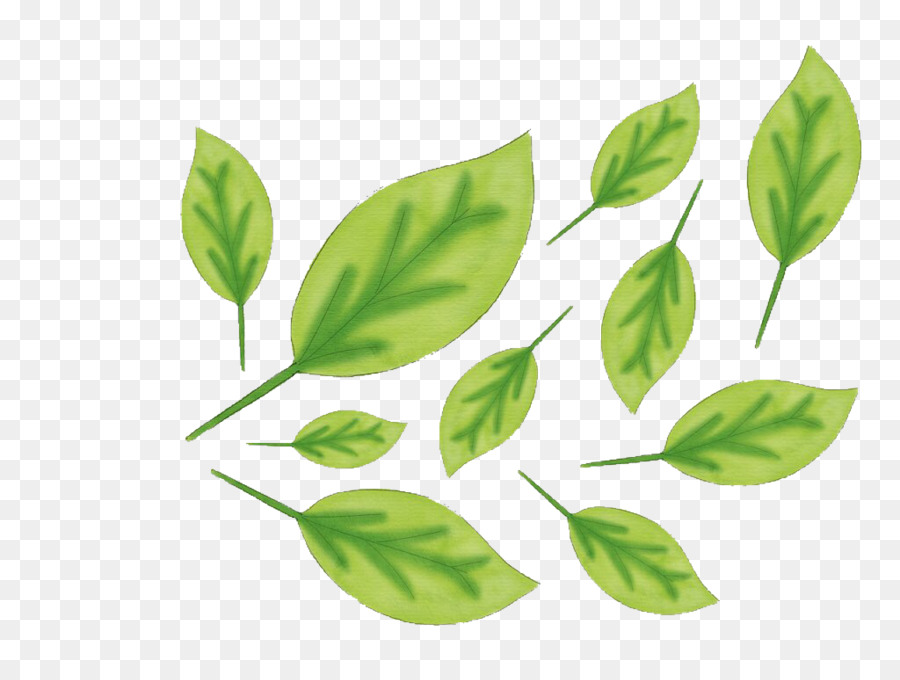 Feuilles Vertes，Feuillage PNG