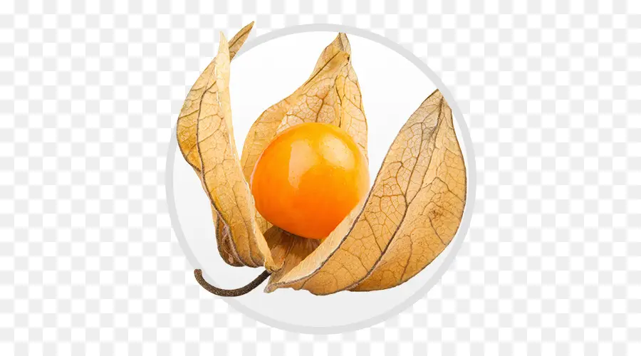 Péruvien Groundcherry，Fruits PNG