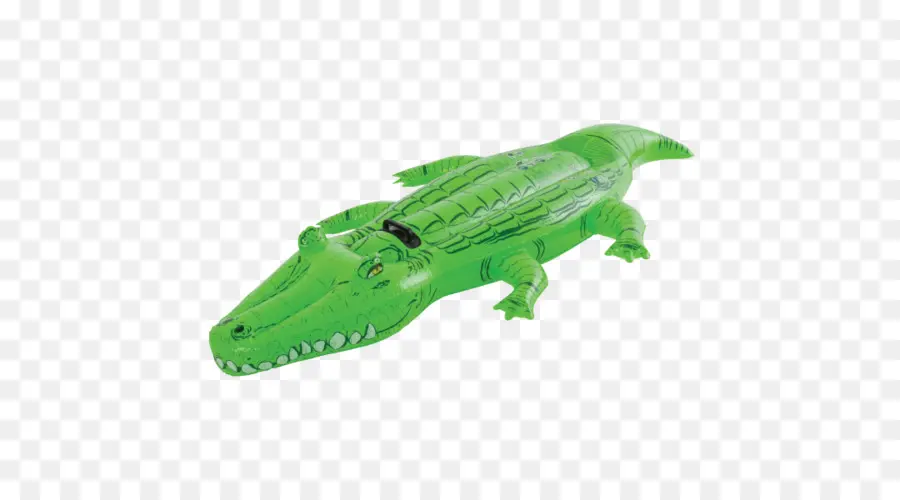 Crocodile Gonflable，Vert PNG