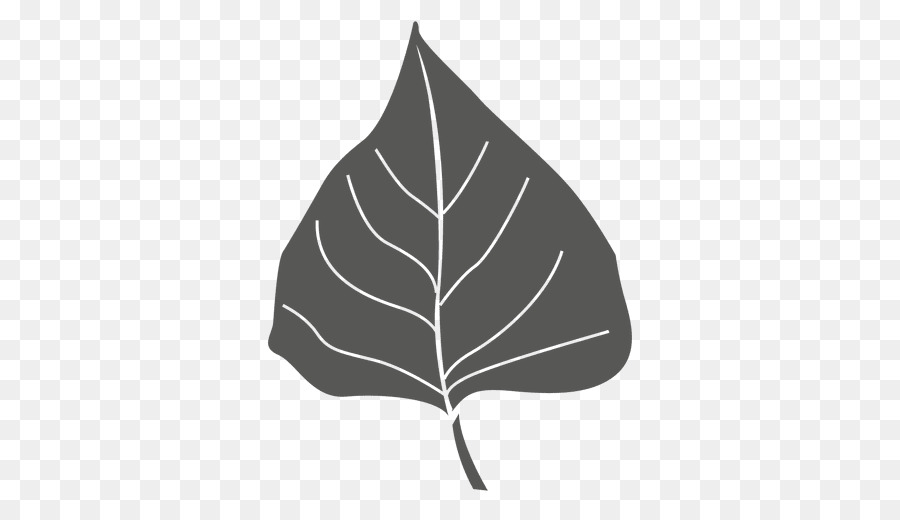 Feuille Noire，Usine PNG