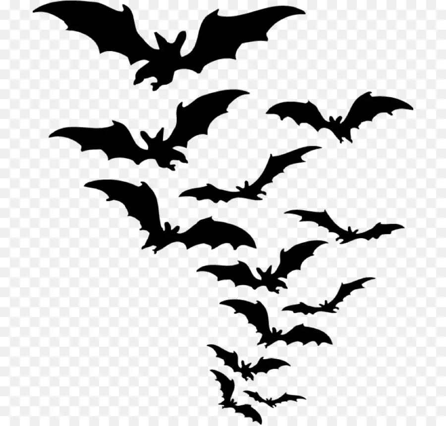 Chauve Souris，Autocollant PNG