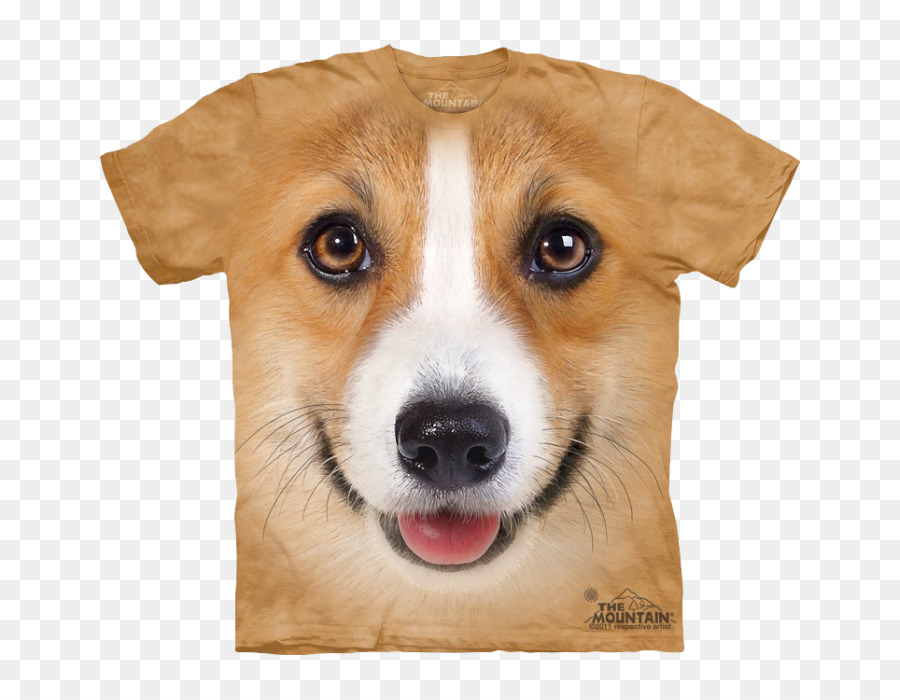 Pembroke Welsh Corgi，T Shirt PNG