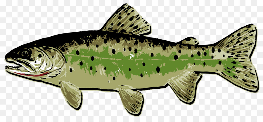 Poisson，Eau PNG