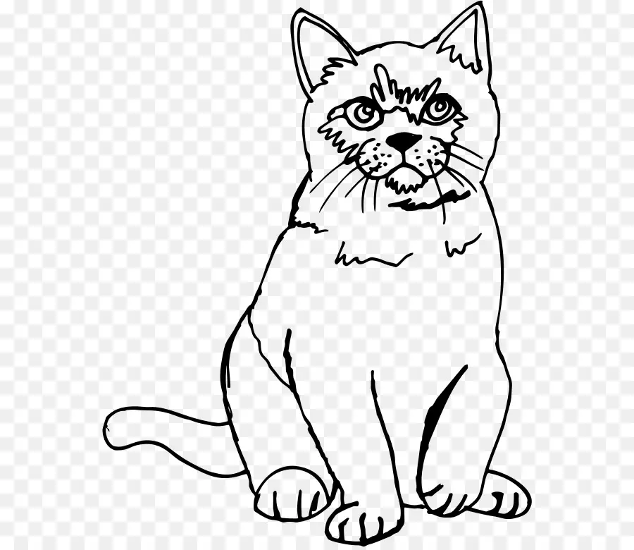 Chat，Animal De Compagnie PNG