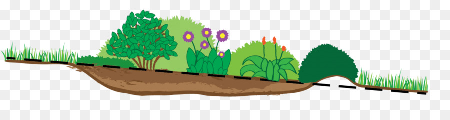 Pluie De Jardin，Jardin PNG