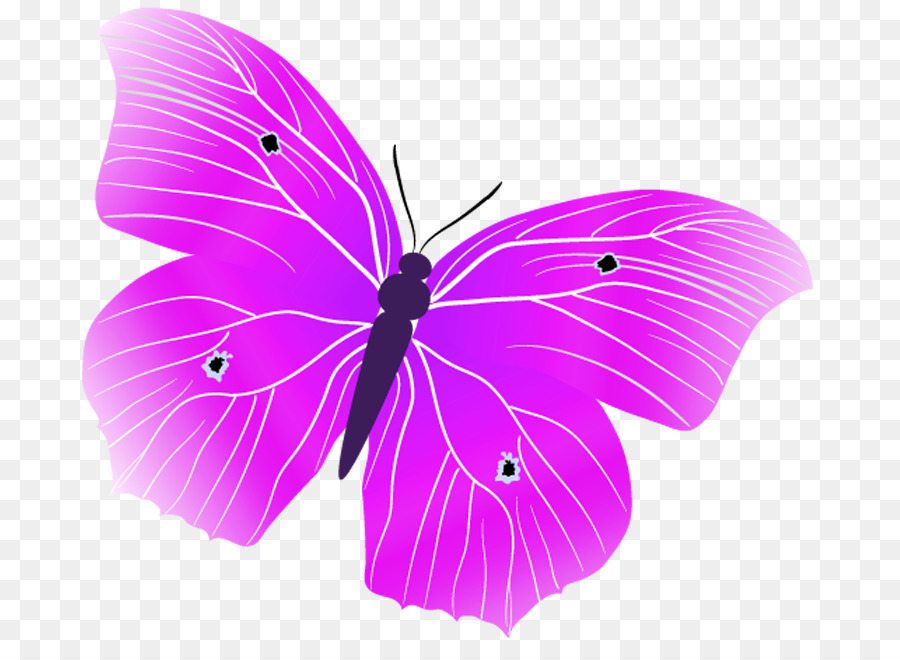 Papillon Vert，Insecte PNG