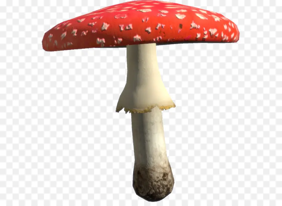 Champignon，Amanita Muscaria PNG