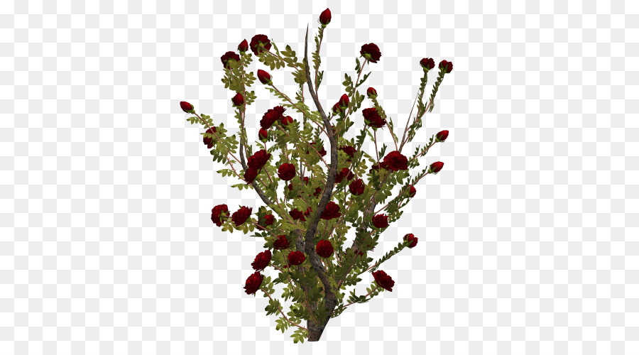 Plante à Fleurs，Fleurs PNG