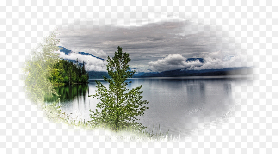 Lac，Arbre PNG