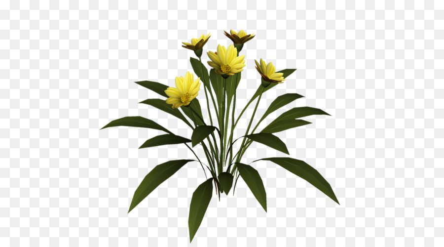 Fleurs，Fleurir PNG