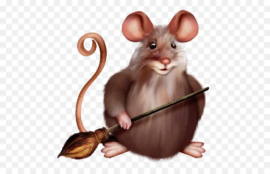 Souris De Dessin Animé，Balai PNG