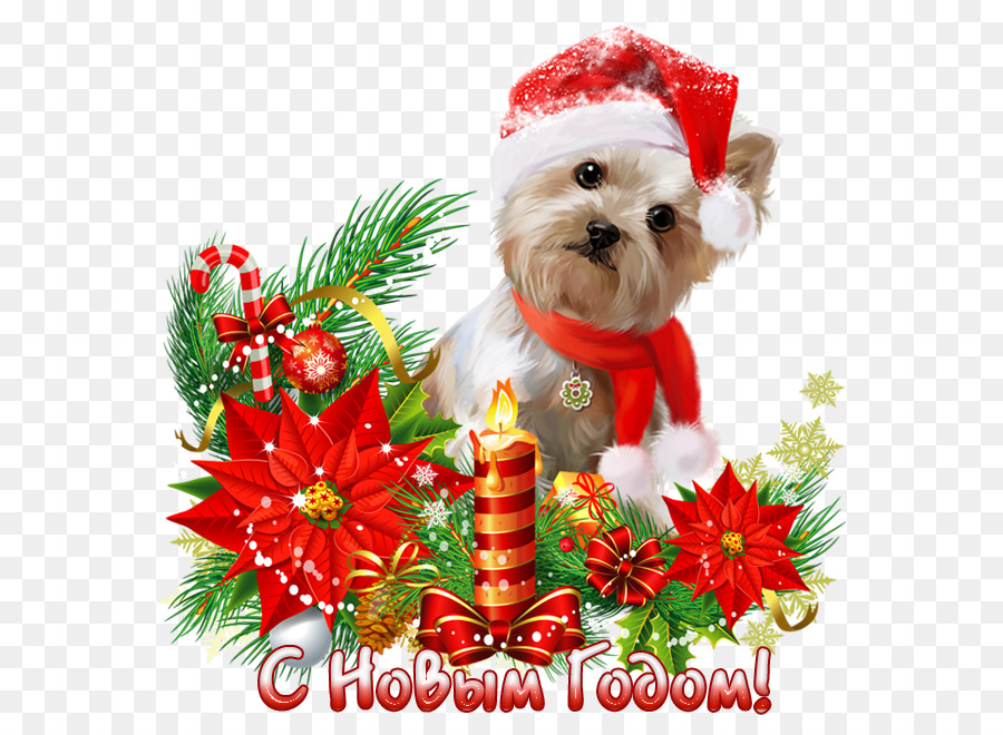 Chien De Noël，Chapeau De Père Noël PNG