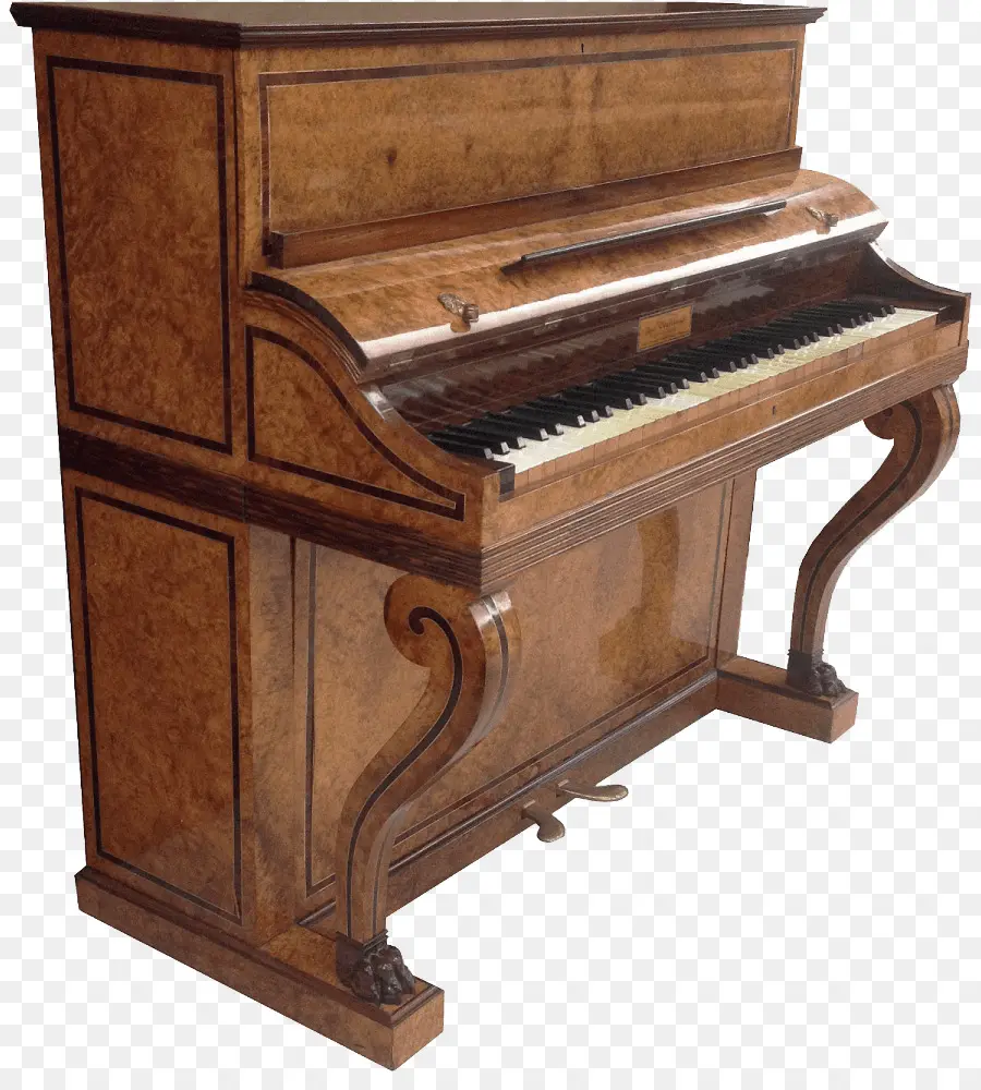 Piano électrique，Plan PNG