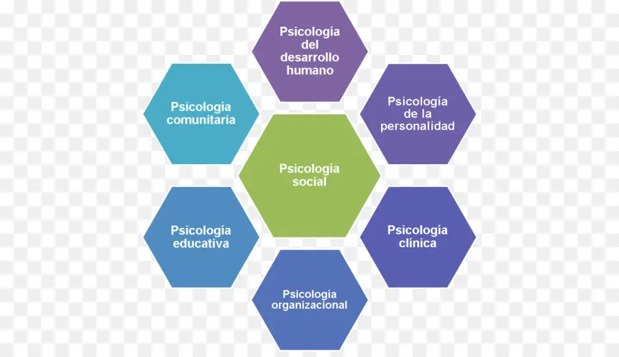 Diagramme De Psychologie，Hexagone PNG