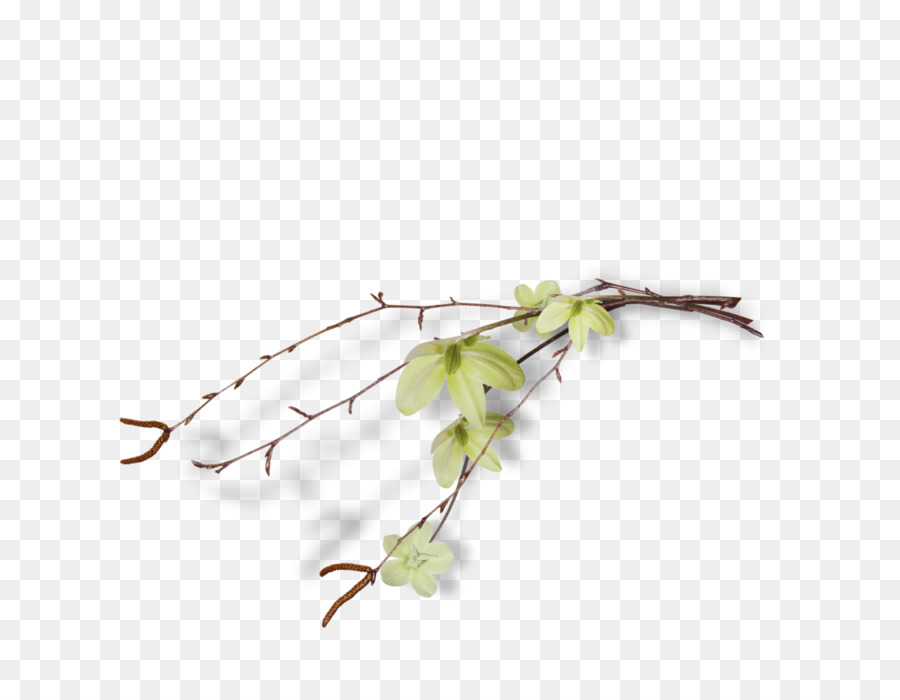 Branche Avec Des Feuilles，Arbre PNG