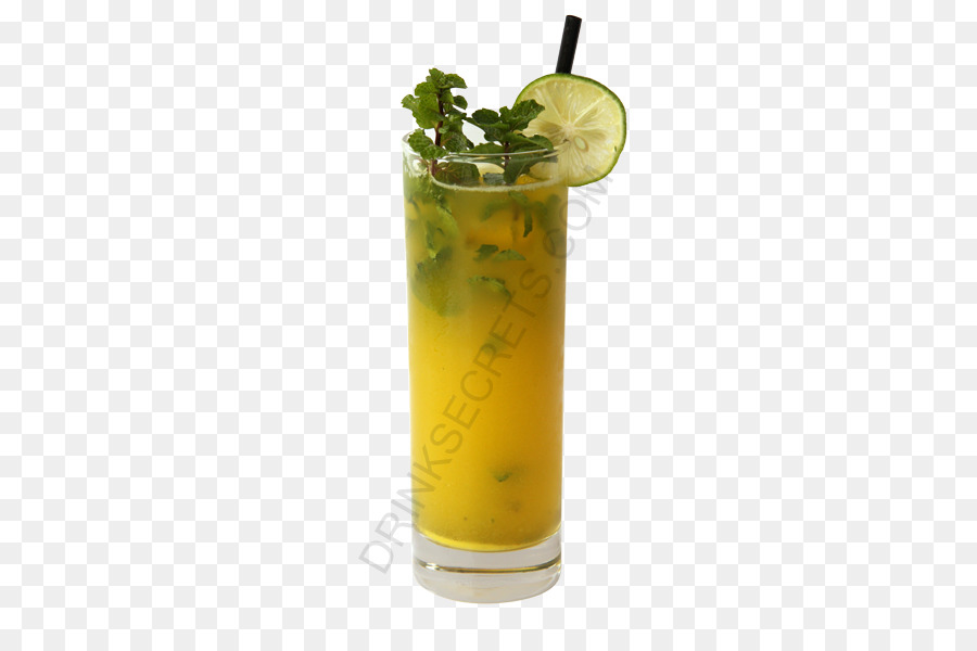 Cocktail Garnir，Mojito PNG