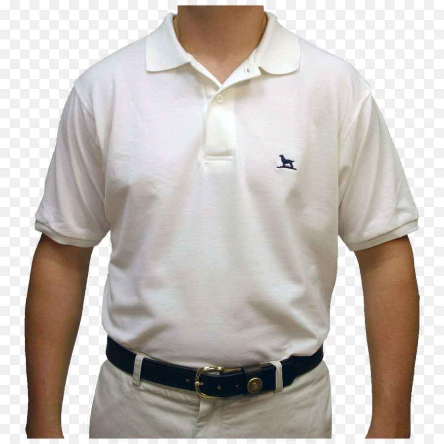 Polo，Tshirt PNG