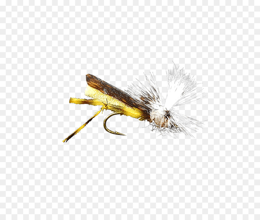 Mouche Artificielle，Mouche PNG