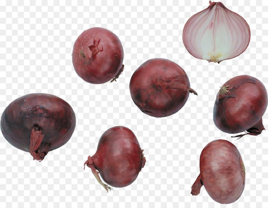 échalote，Légume PNG