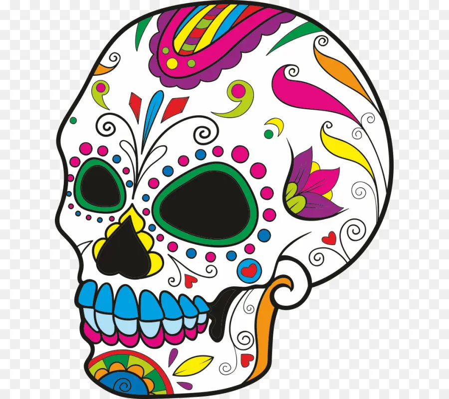 Calavera，Crâne PNG