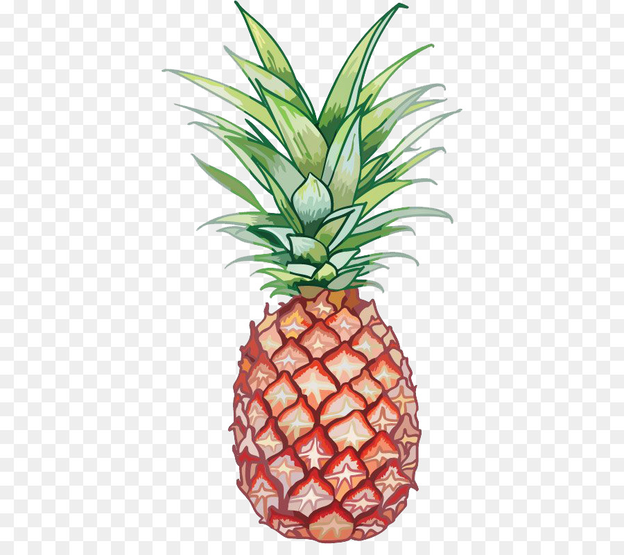 Ananas，Tropical PNG