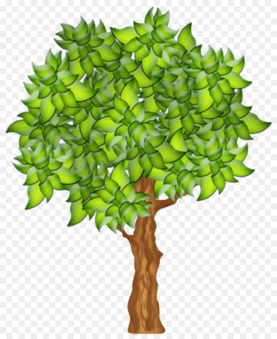 Arbre，Feuilles PNG