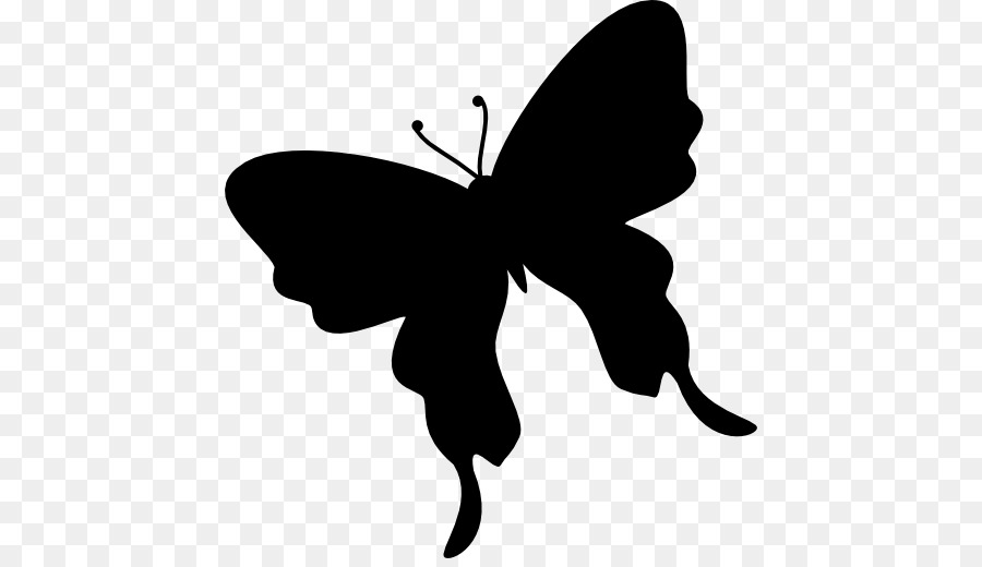 Papillon Noir，Insecte PNG