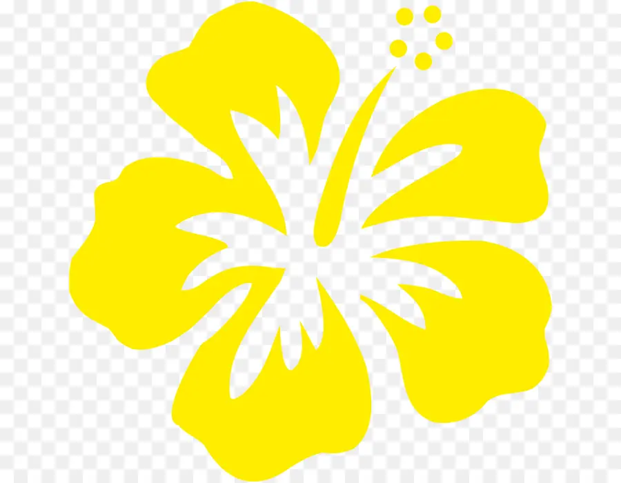 Hibiscus，Jaune PNG