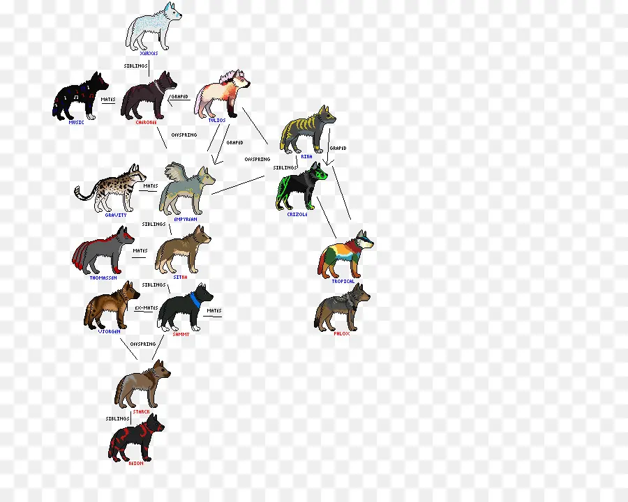 Arbre Généalogique Des Animaux，Animaux PNG