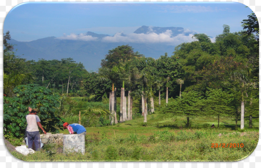 Campagne，Nature PNG