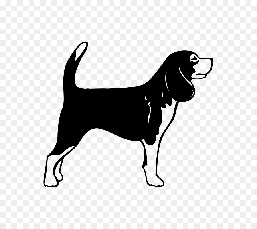 Terrier écossais，Beagle PNG