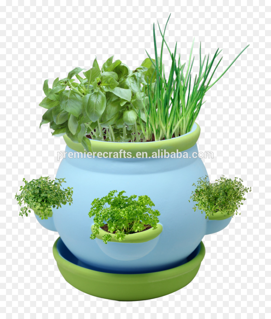 Herbe，Flowerpot PNG