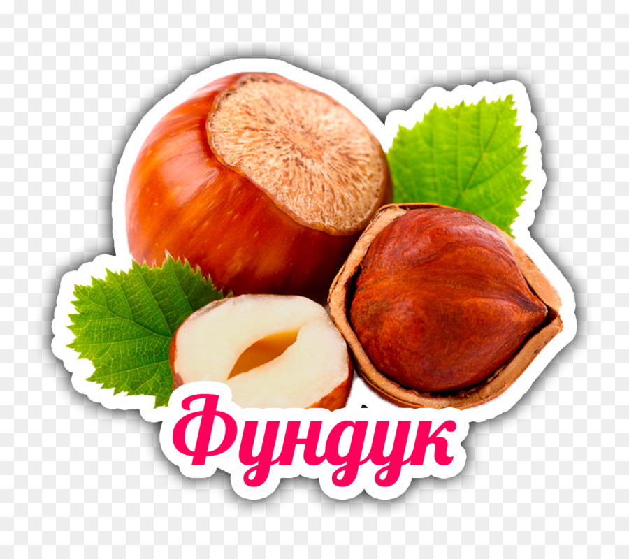 Noisette，écrou PNG