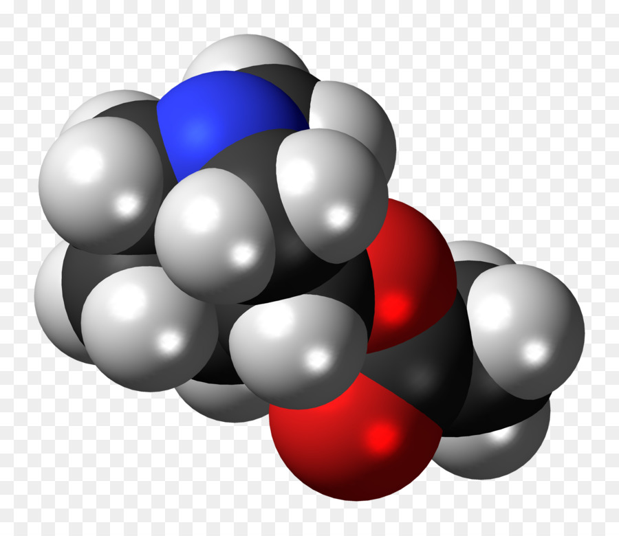 Modèle Moléculaire，Atomes PNG