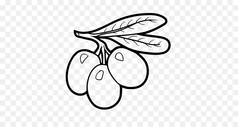 Olives，Fruit PNG