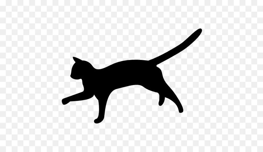 Chat Qui Saute，Silhouette PNG