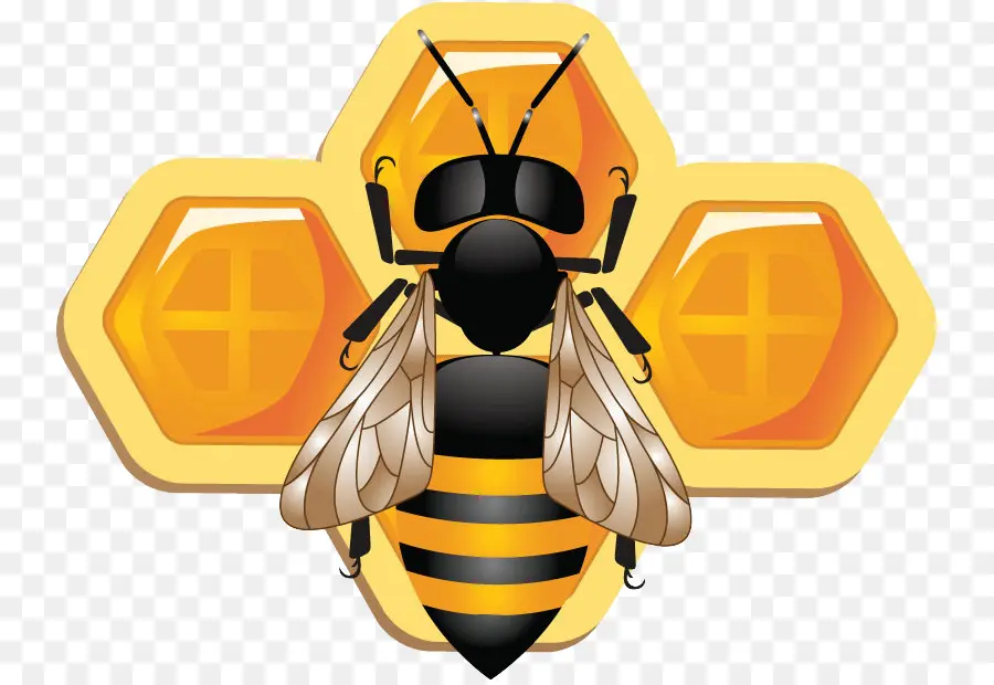 Abeille，Rayon De Miel PNG