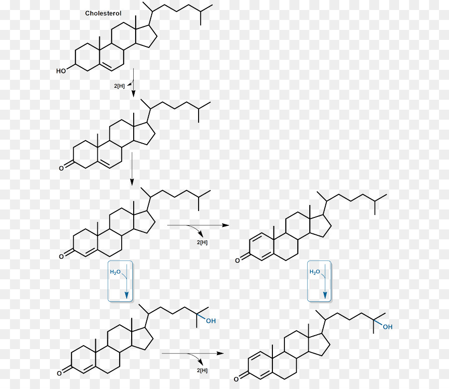 Structure Chimique，Molécule PNG