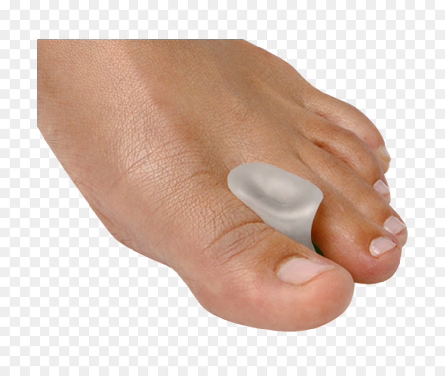 Doigt De Pied，Oignon PNG