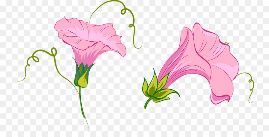 Teigne Des Orchidées，Les Fleurs Coupées PNG