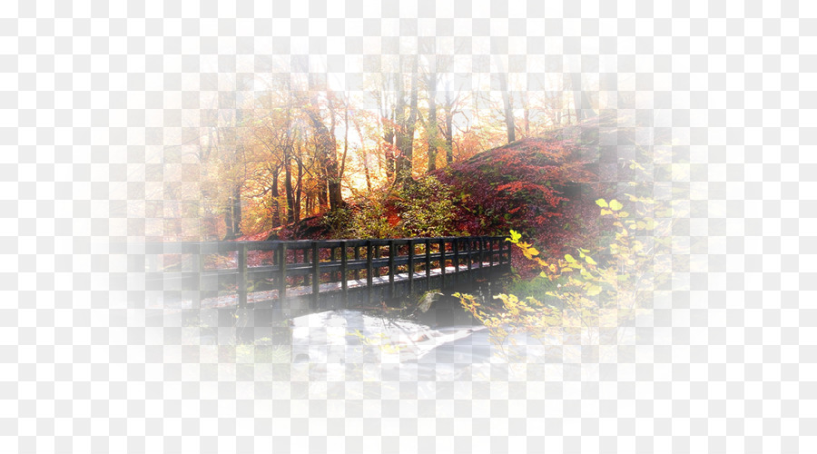 Pont D'automne，Arbres PNG