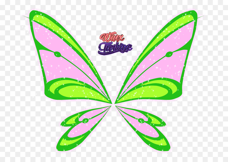 Ailes De Papillon，Coloré PNG