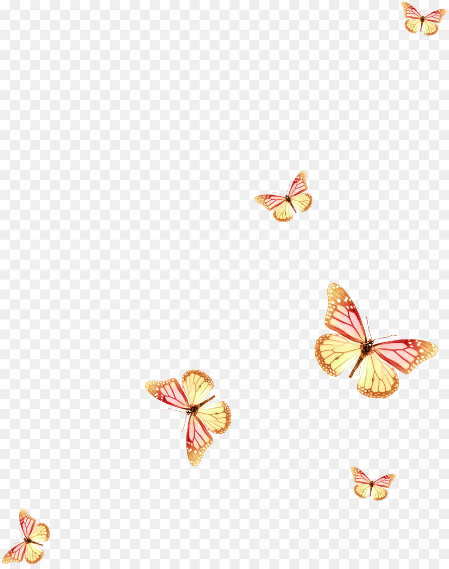 Papillons Blancs，Insectes PNG